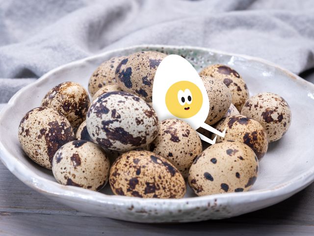 Перепелиные яйца рецепты, вкусных рецептов с фото Алимеро