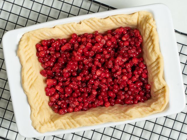 20 отличных рецептов пирога с брусникой