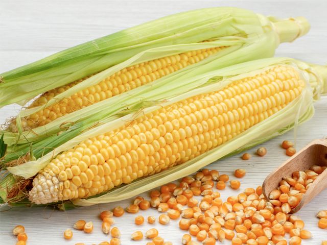 Как правильно варить кукурузу в початках: советы повара