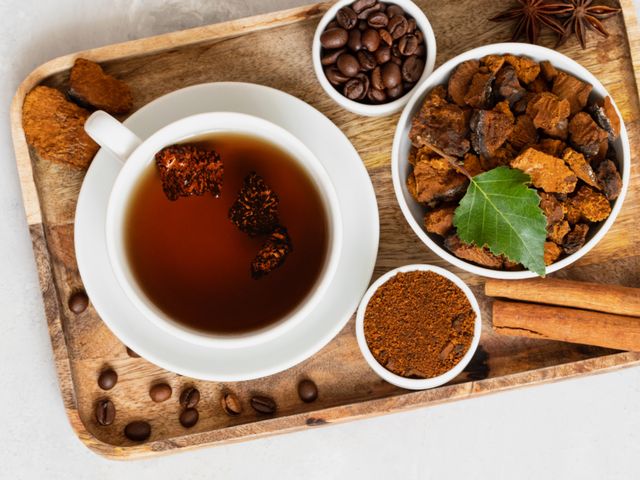 Как правильно сварить чай из чаги: рецепты и полезные свойства