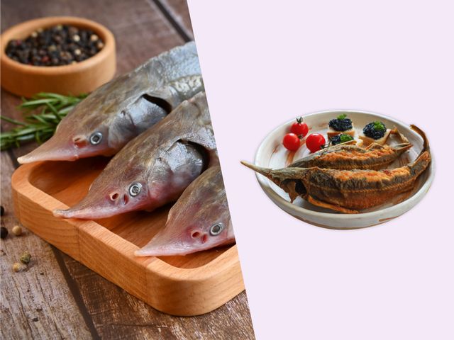 Стерлядь в духовке: как приготовить целиком, рецепты запеченной рыбы, фото