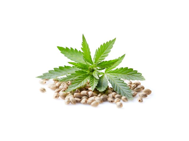 Конопляный семена выращивание иконки марихуана