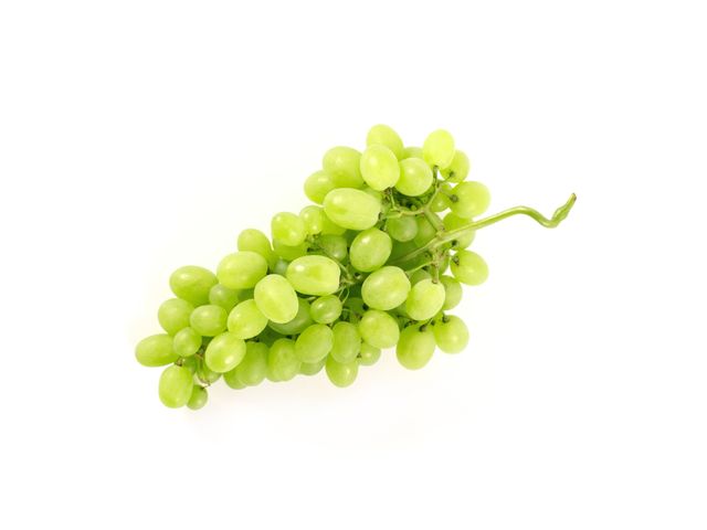 Зеленый виноград: описание, особенности, рецепты и полезные свойства
