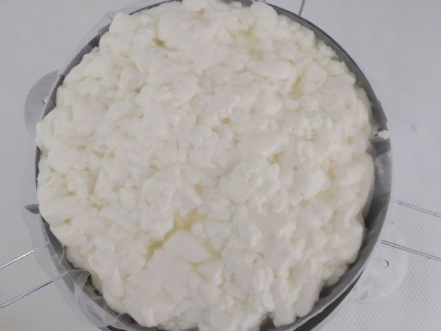 Рецепт сыра Маасдам | Рецепты сыра | Сырный Дом: все для домашнего сыроделия
