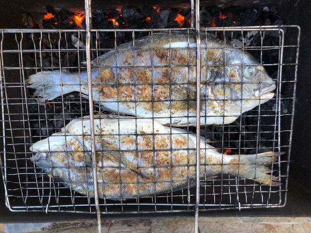 Шашлык из рыбы на шампурах на мангале: как приготовить на углях, рецепты