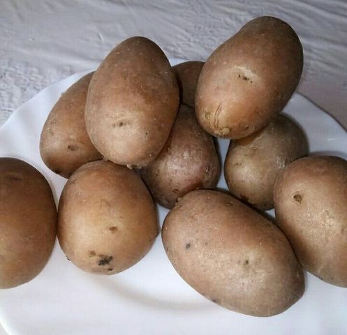Картофельные шарики – 8 рецептов приготовления в домашних условиях